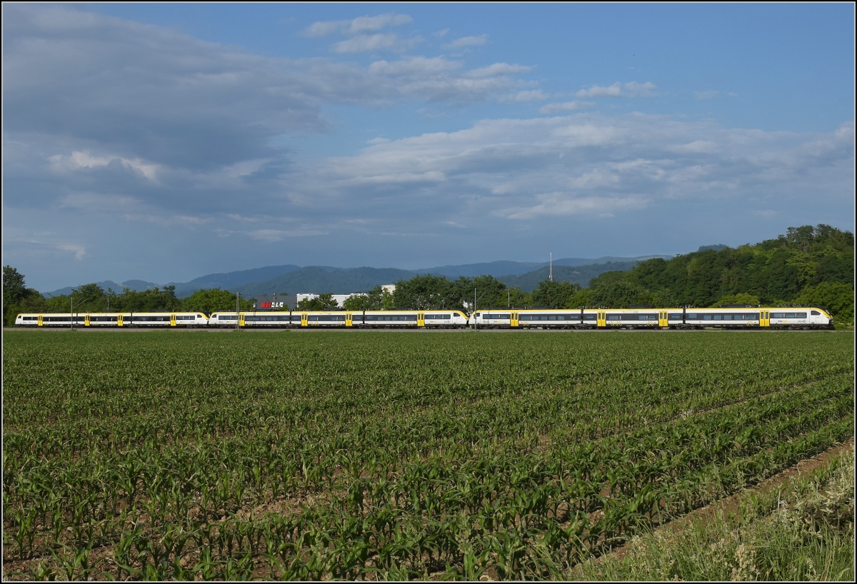 463 005 + 463 007 + 463 018 bei Buggingen. Juni 2022.