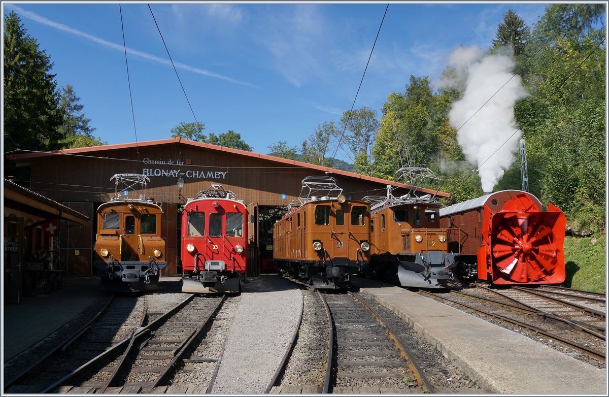50 Jahre Blonay Chamby - MEGA BERNINA FESTIVAL: Unter dem Titel  Aligenment  fand in Chaulin eine Aufstellung der Bernina Fahrzeuge statt. Von links nach rechts: Die Rhb Ge 2/2 161 Asnin (Eselchen), der Rhb Bernina ABe 4/4 N° 35, die Bernina Bahn BB Ge 4/4 81 (ex BB Ge 6/6 81 bzw. ab 1929 Ge 4/4 81, später RhB Ge 4/4 181) mit dem Revisionsdatum 7.9.18, das Bernina Krokodil Ge 4/4 182 und die Dampfschneeschlauder Xrot D 9214 (bzw. 1052)

8. September 2018