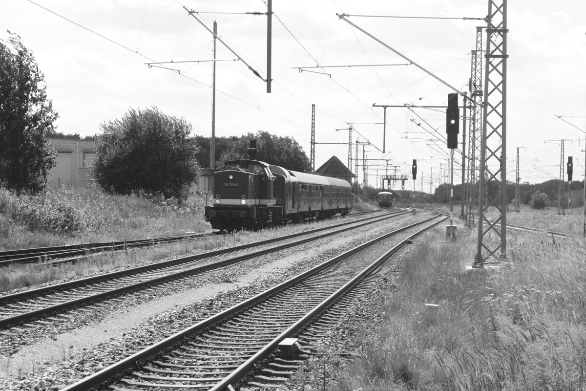 772 140 und 772 141 sowie 114 703 (203 230) bei Rangierfahrten im Bahnhof Bergen auf Rgen am 30.7.21