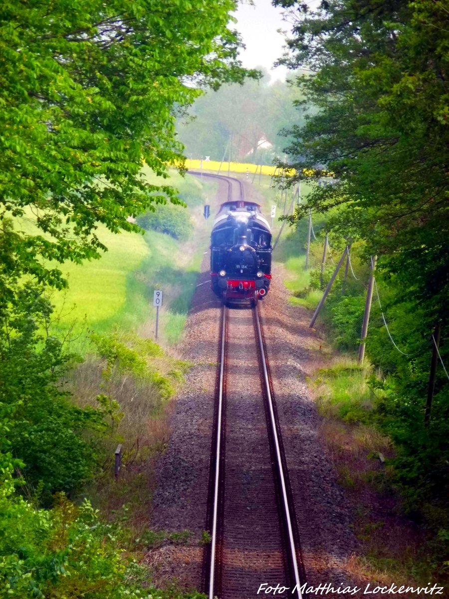 91 134 am Zugschluss unterwegs nach Bergen auf Rgen am 21.5.16