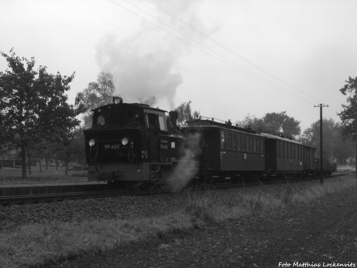 99 4511 mit dem Sonderzug-GmP beim Fotohalt in Posewald am 12.10.14