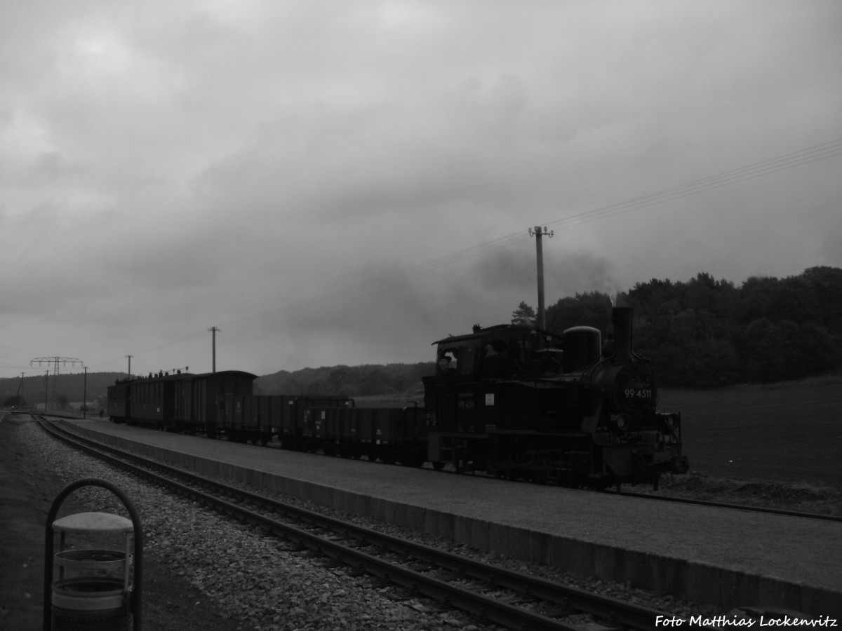 99 4511 mit dem Sonderzug-GmP am Hp. Seelvitz am 12.10.14