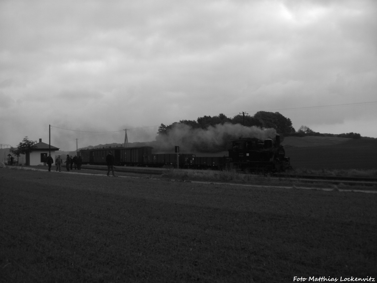 99 4511 mit dem Sonderzug-GmP am Hp. Seelvitz am 12.10.14