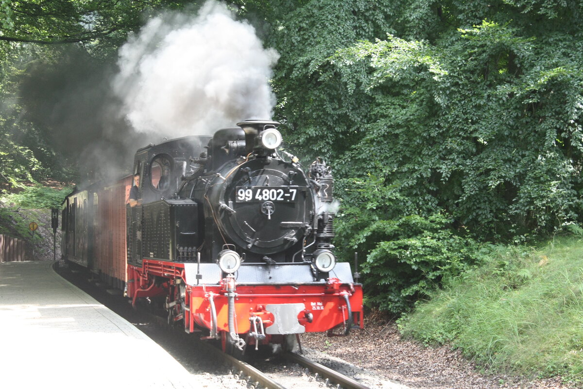 99 4802 bei der Einfahrt in den Bedarfshaltepunkt Jagdschloss Granitz am 28.7.21