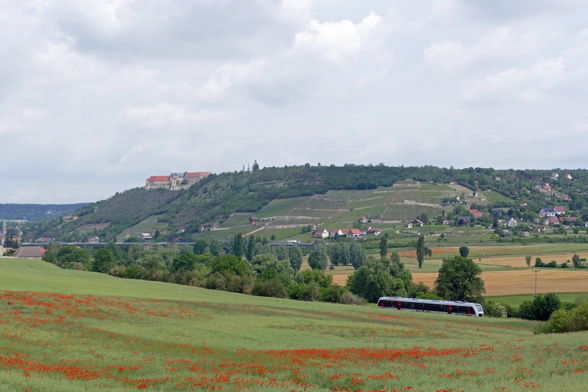 abellio 1648 xxx als RB 80555 von Wangen nach Naumburg Ost, am 19.06.2020 bei Nißmitz. (Foto: Wolfgang Krolop)