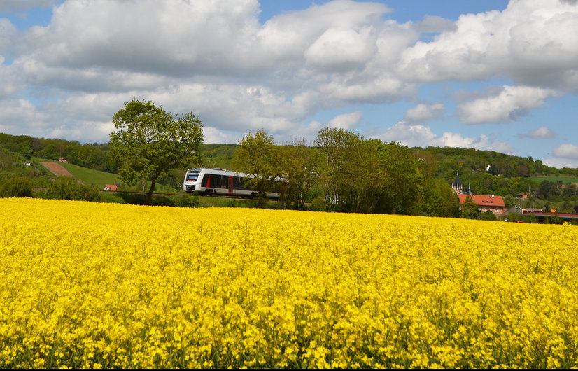 Abellio und der Raps...
ABRM 1648 913 als RB 80575 (Wangen (Unstrut) - Naumburg (Saale) Ost) hat gerade die Saale bei Ro�bach �berquert und f�hrt gleich in den Hbf Naumburg (Saale) ein.
Ro�bach, am 09.05.2019