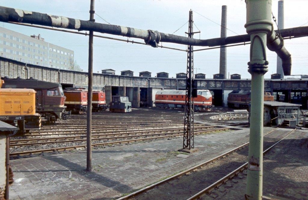 Abgestellte Loks am 08.05.1981 vor dem Ringlokschuppen im Bw Halle G. (Foto: Klaus Pollm�cher)