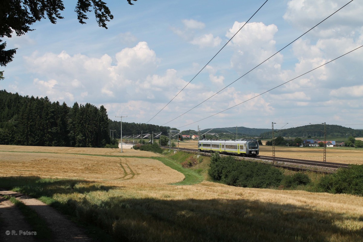 Ag84417 Neumarkt/Oberpfalz - Plattling bei Dettenhofen. 23.07.14