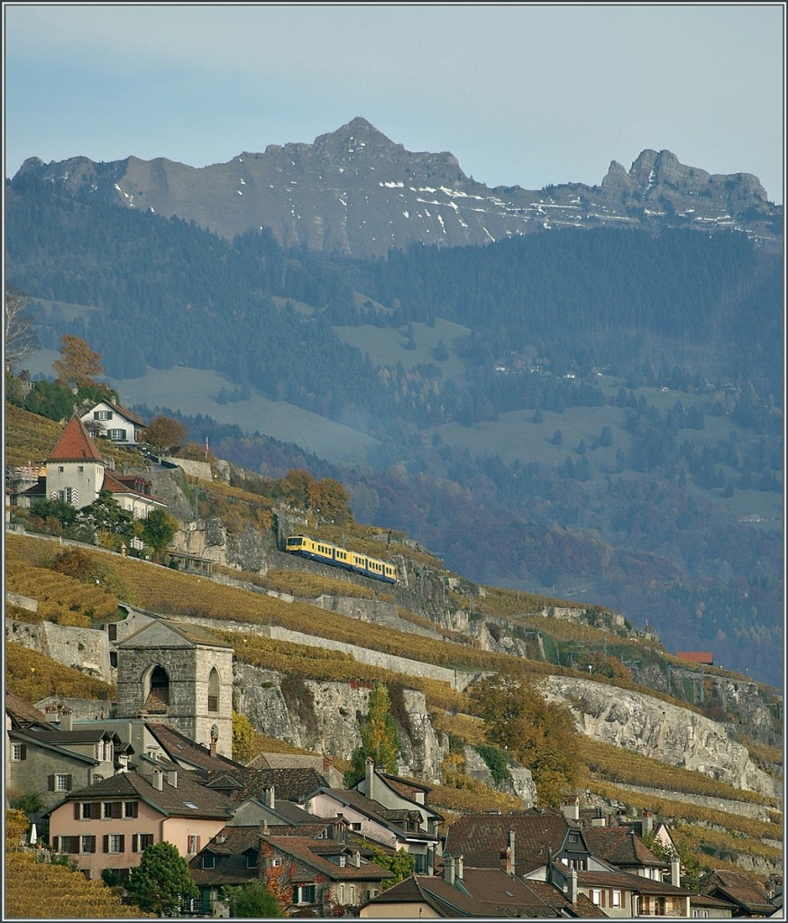 Als der gelbe  Train des Vigenes  noch verkehrt, setzte er einen erfreulichen Fahrbtupfer in die Landschaft des Lavaux. 
Bei St-Saphorin, den 4. Nov. 2010