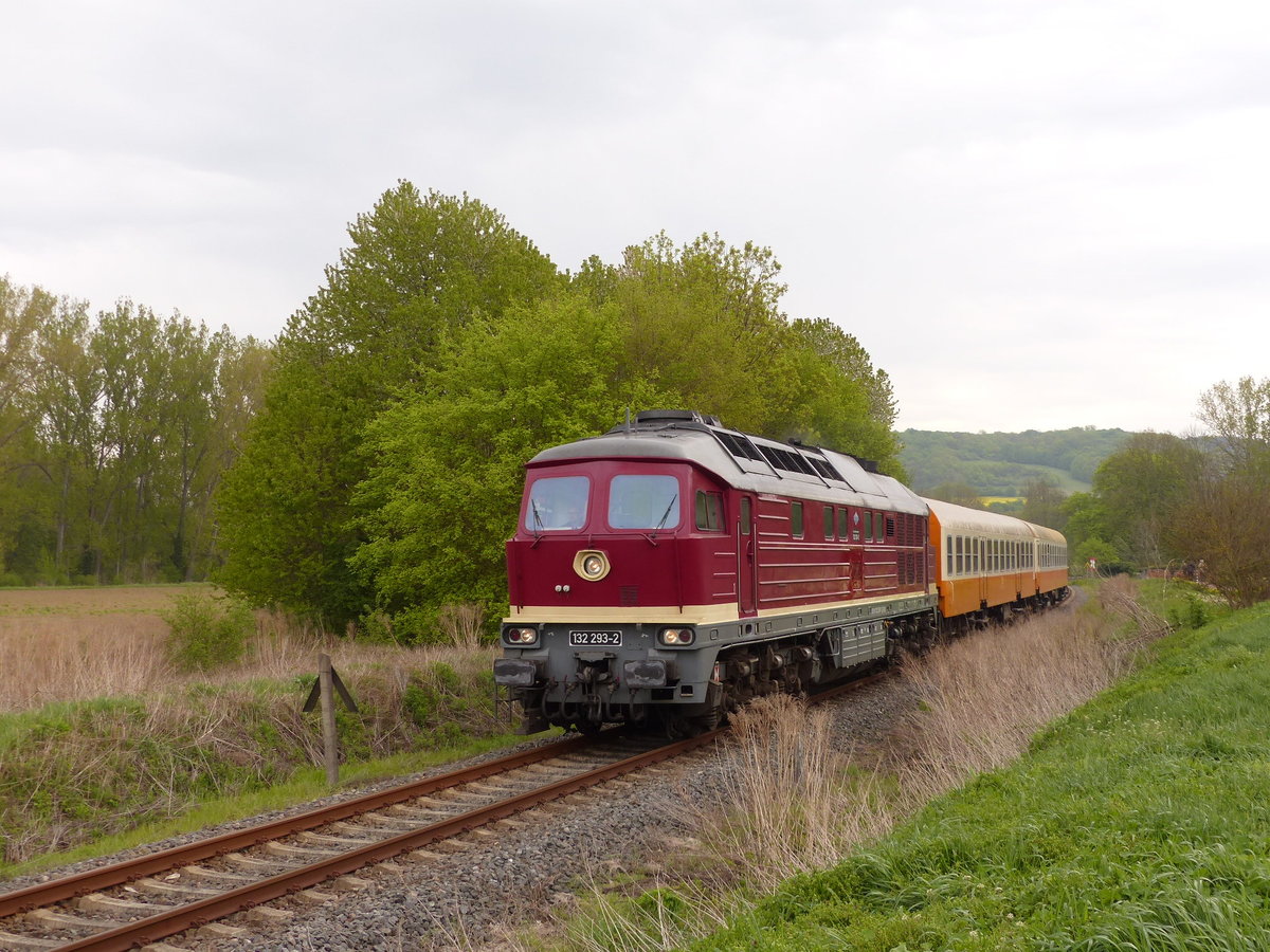Am 01.05.2019 verkehrte die EBS 132 293-2 mit dem DPE 74225  Finne-Unstrut-Xpress  von S�mmerda nach Karsdorf. Der vom F�rderverein Finnebahn e.V. organisierte Sonderzug ist hier bei Balgst�dt zu sehen. Anlass war der Freyburger Weinfr�hling.