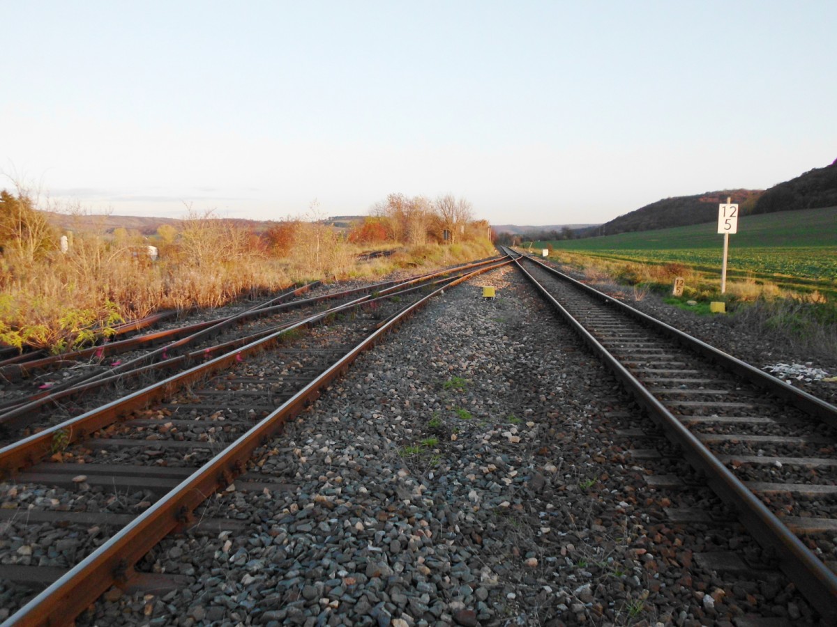 Am 05.11.2015 zeigte sich der Ostkopf vom Lauchaer Bahnhof noch überwiegend im alten Zustand. In den nachfolgenden Tagen begannen dann die Bauarbeiten, bei denen ein Ausbau von Weichen erfolgte. (Foto: Günther Göbel)