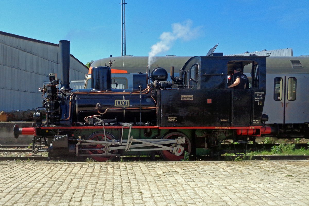 Am 1 Juni 2019 geniesst 88 993 LUCY die Sonnenschein ins BEM in Nördlingen.