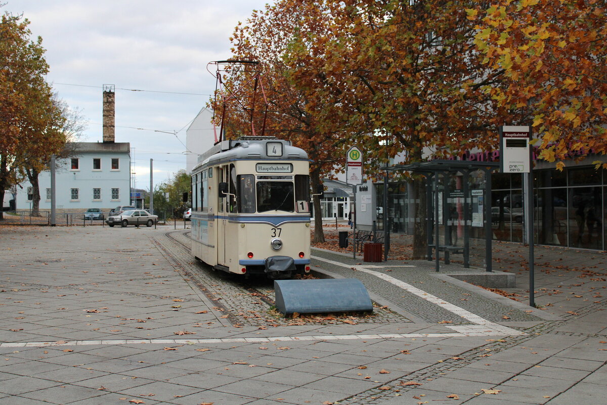 Am 12.11.2023 stand der Tw 37 der Naumburger Straßenbahn als Linie 4 zum Salztor am Hauptbahnhof in Naumburg (Saale).