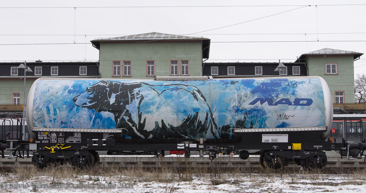 Am 16.01.2021 pausierte die BSAS 159 208 mit den mit Tiermotiven versehenen Kesselwagen von M.A.D. Traun in Naumburg Hbf. (Foto: Silvio Vernaldi)