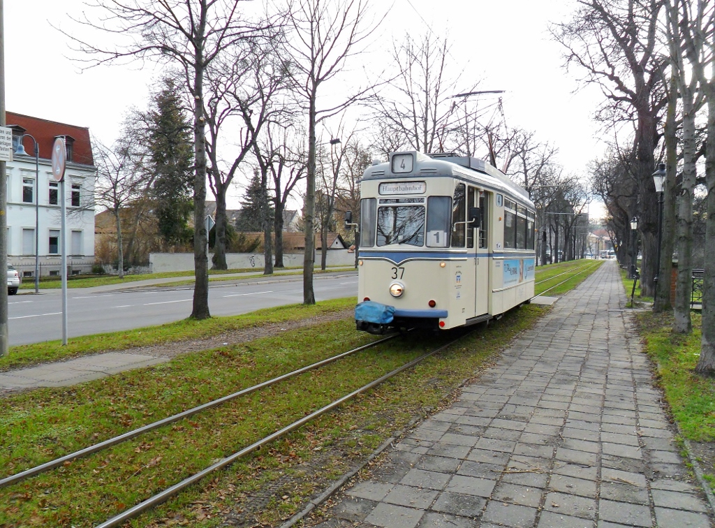 Am 17.12.2013 war TW 37 im Einsatz auf dem Kurs der  Wilden Zicke .
Der TW 37 (Typ Gotha) wurde 1959 gebaut, zu sehen hier auf der Linie 4 kurz vor der Haltestelle Marientor in Richtung Hauptbahnhof.