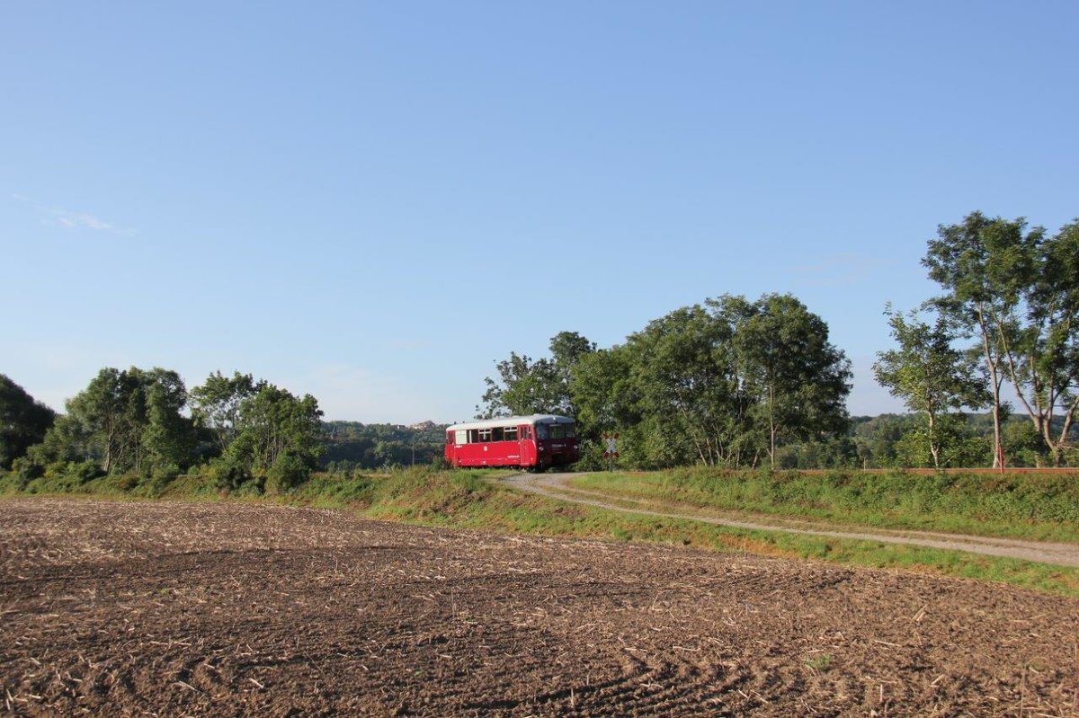 Am 21.08.2016 verkehrte EBS 772 345-5 als 13.  Unstrut-Schrecke-Express  ab Erfut Hbf nach Roßleben. Zunächst war er von Karsdorf nach Naumburg Hbf als DLr 25500 bei Roßbach unterwegs. (Foto: Wolfgang Krolop)
