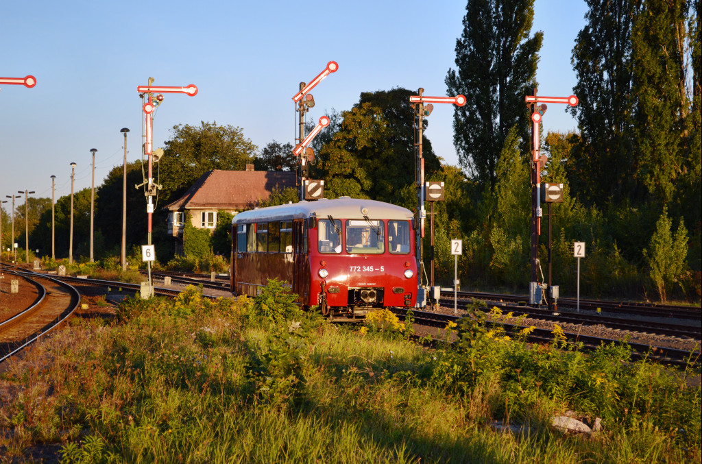 Am 29.09.2013 fuhr EBS 772 345-5 als DbZ 20456 von Gera Hbf nach Naumburg Hbf. In Gera war der Tw f�r die Pendelfahrten zum verkehrshistorischen Tag zust�ndig.
Hier ist das  Ferkel  bei der Ausfahrt in Zeitz zu sehen.