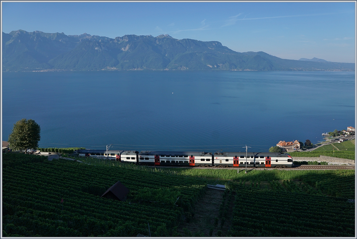 Am frühen Morgen ist eine SBB RABe 511 auf der Train des Vignes (Weinbergstrecke) oberhalb von St-Saphorin unterwegs. 

27. Juli 2018