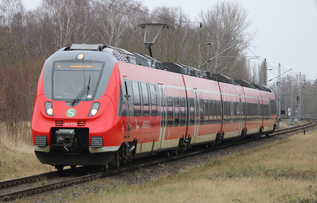 Am Vormittag des 08.02.2025 wurde mit dem 250 mm Objektiv in Rostock-Lichtenhagen auf 442 855 gehalten.