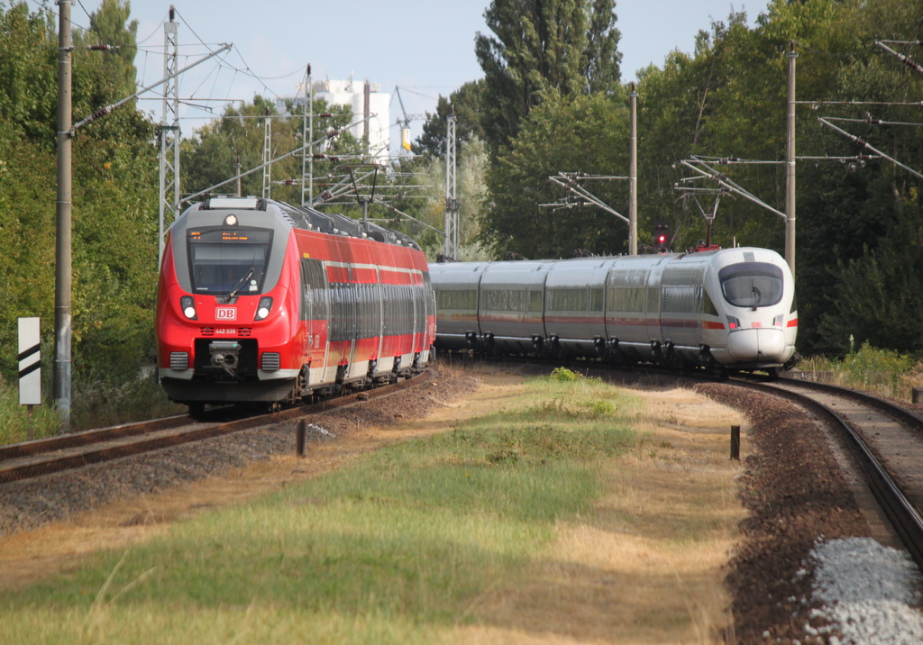 am Vormittag des 25.08.2018 traf 442 339 in Rostock-Lichtenhagen auf 411 528