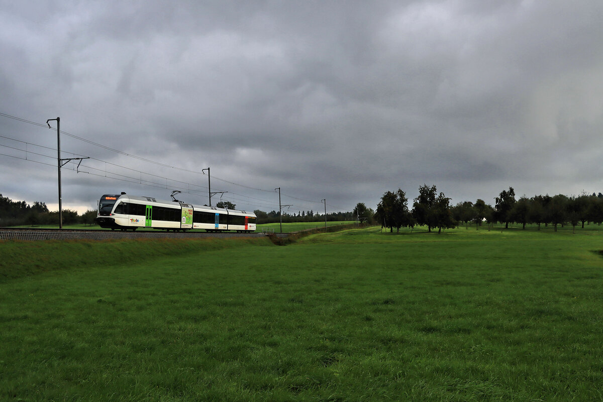 An der ehemaligen BT-Strecke Romanshorn - St.Gallen: Thurbo GTW 2/8 795 als S8 (St.Gallen - Kreuzlingen - Schaffhausen; heute als S1 bezeichnet) in der Steigung von Muolen zum Bodensee nach Romanshorn hinunter. 7.Oktober 2021  