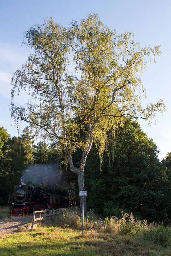 An meinem Fototag im Harz, dem 18.08.16 entstand das erste Bild eher zufällig beim Erkunden eines Teiles der Selketalbahn.

So hielt ich morgens 99 7240-7 am Hp Sternhaus Haferfeld auf ihrer Fahrt nach Harzgerode im Bild fest.