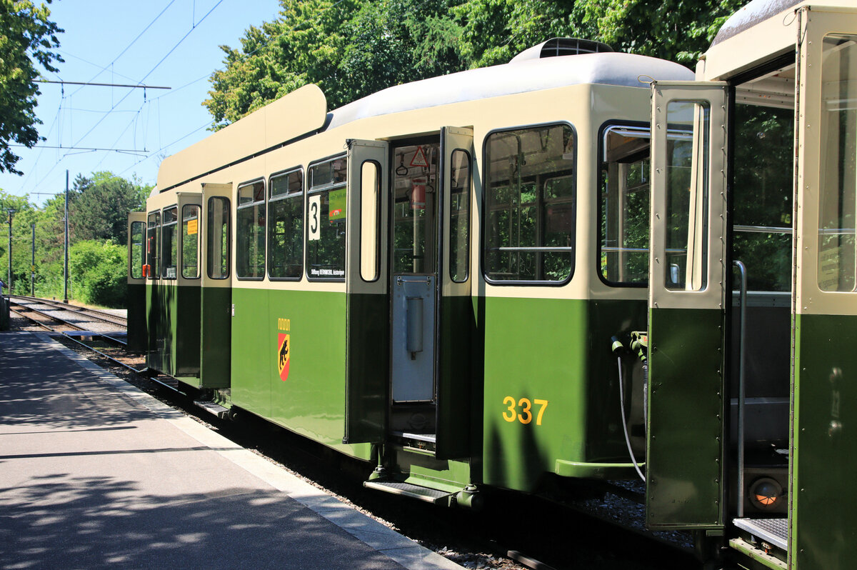 Anhänger 337, Türseite. Auffällig ist, dass der Berner Bär auf dieser Seite von links unten nach rechts oben klettert, also nach vorn. 25.Juni 2023 