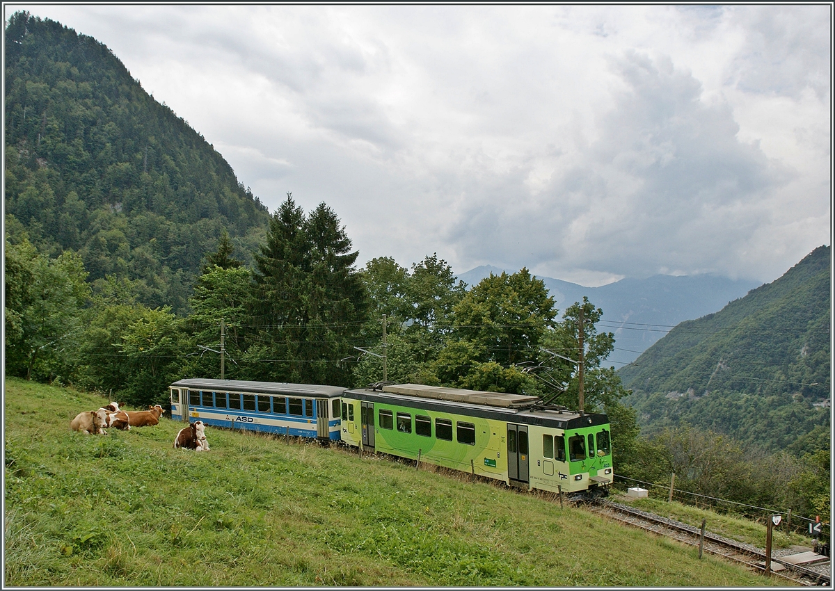 ASD Regionalzug bei Le Sepey. 5. August 2011