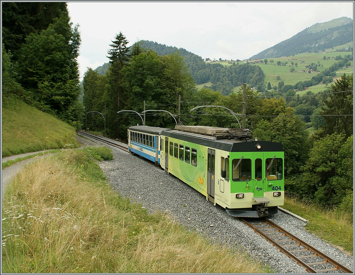 ASD Regionalzug erreicht in Krze Le Sepey.
5. August 2011