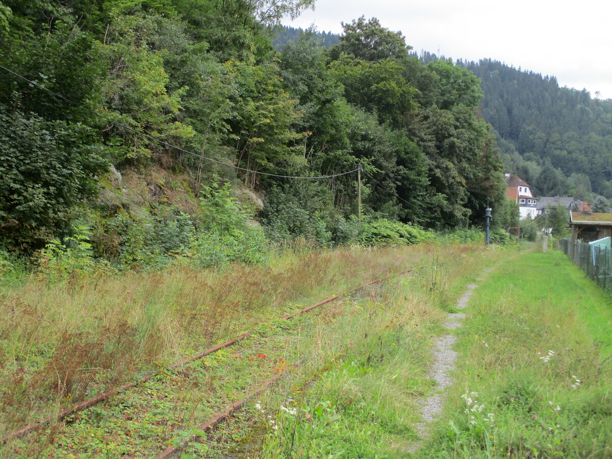 Auch in Schleusingen Neundorf wachsen die Gleise zu.Aufnahme am 31.August 2021.