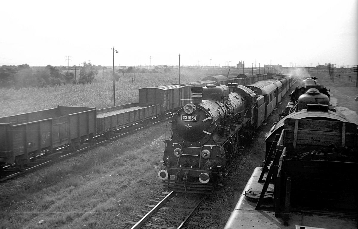 Auf der Dachfahrt nach Videle passierte unser Zug in einem Kreuzungsbahnhof einen Gegenzug, bespannt mit der CFR 231 054 (Henschel 19000/1922), 26.7.1969  