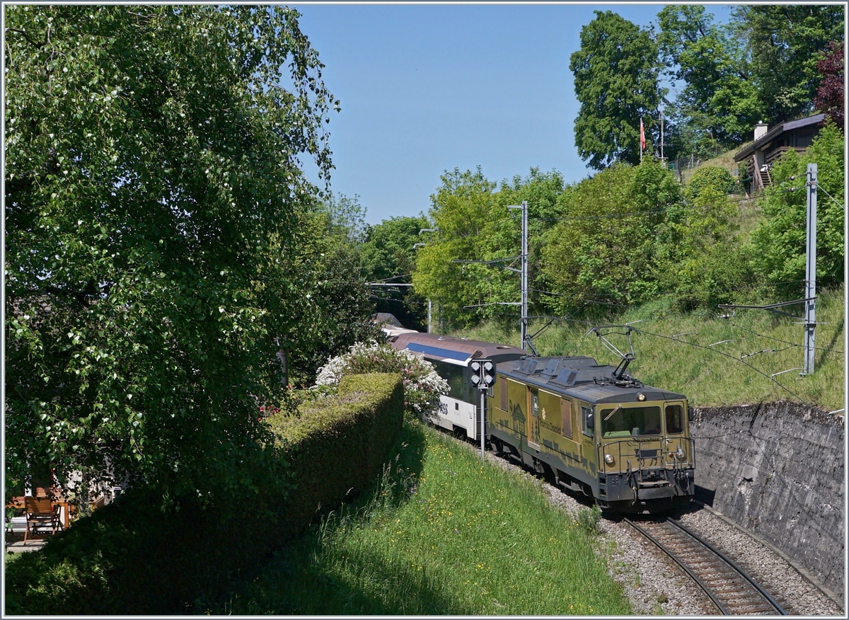 Auf dem Weg nach Monteux ist die MOB GDe 4/4 6003 mit ihrem Panoramic Express bei Sonzier. 

7. Mai 2020