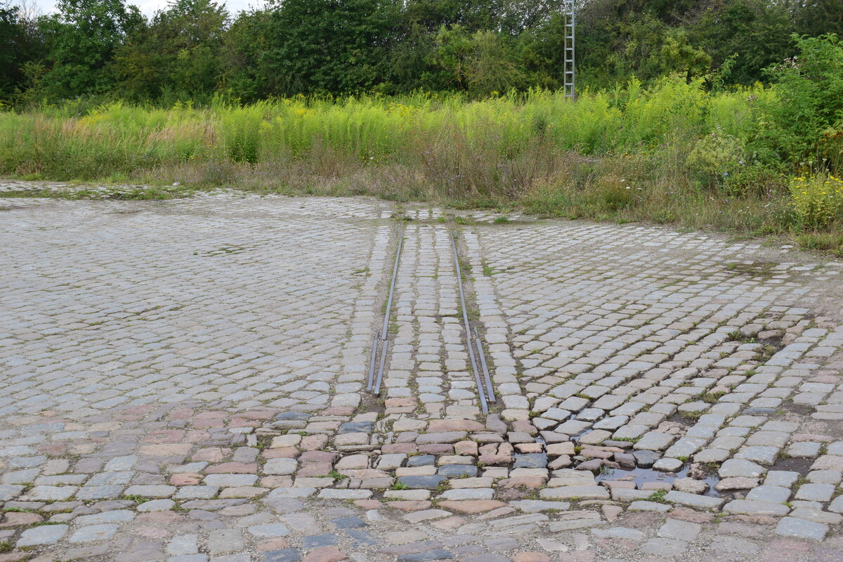 Auf der ehemaligen Ladestraße in Teuchern befindet sich noch dieses alte Schmalspurgleis, dass vermutlich zu einer Feldbahn gehörte; 11.08.2021 (Foto: Dennis Fiedler)