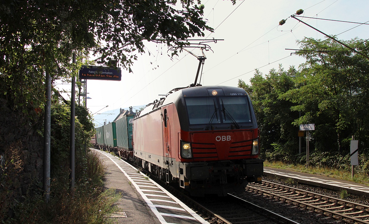 Aus dem Gegenlicht kam ÖBB 1293 173 mit nem Containerzug durch Lorchhausen gefahren. 14.09.2021