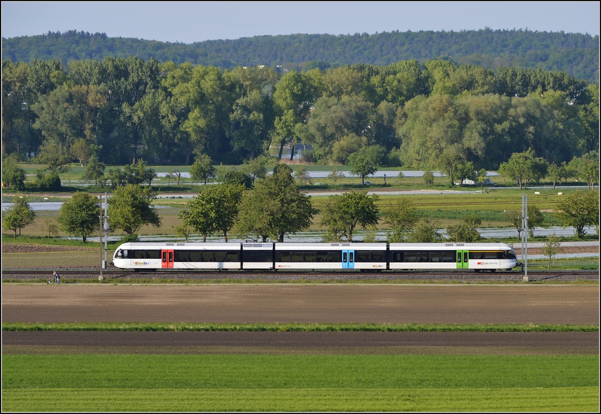 Bahn im Tägermoos. 

S8 Schaffhausen-Herisau im Gemüseland. Im Hintergrund erkennt man den Seerhein. Mai 2014.