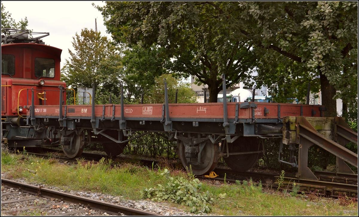 Bahndienst-Materialwagen X2 368. Der Wagen wurde 1910 bei der SIG gebaut und ist 10100 mm lang, wiegt 8,9 t und kann 15 t laden. Mit 104 Jahren in echter Oldie, sein Aufbau wurde 1978 erneuert. 1973 kam er von der Bodensee-Toggenburg-Bahn zur Sihltalbahn. 

 