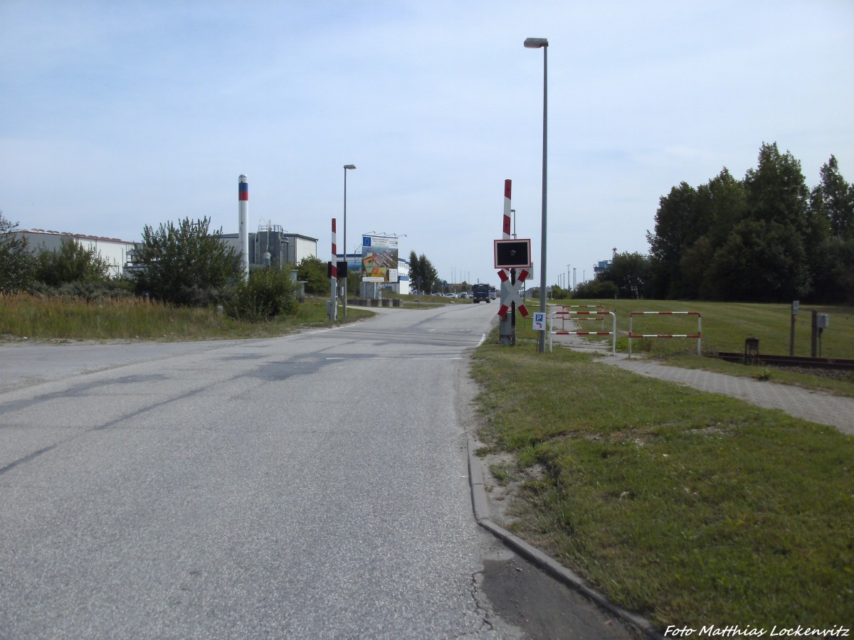 Bahnbergang bei Mukran / Blick in Richtung Fahrhfen am 16.8.13