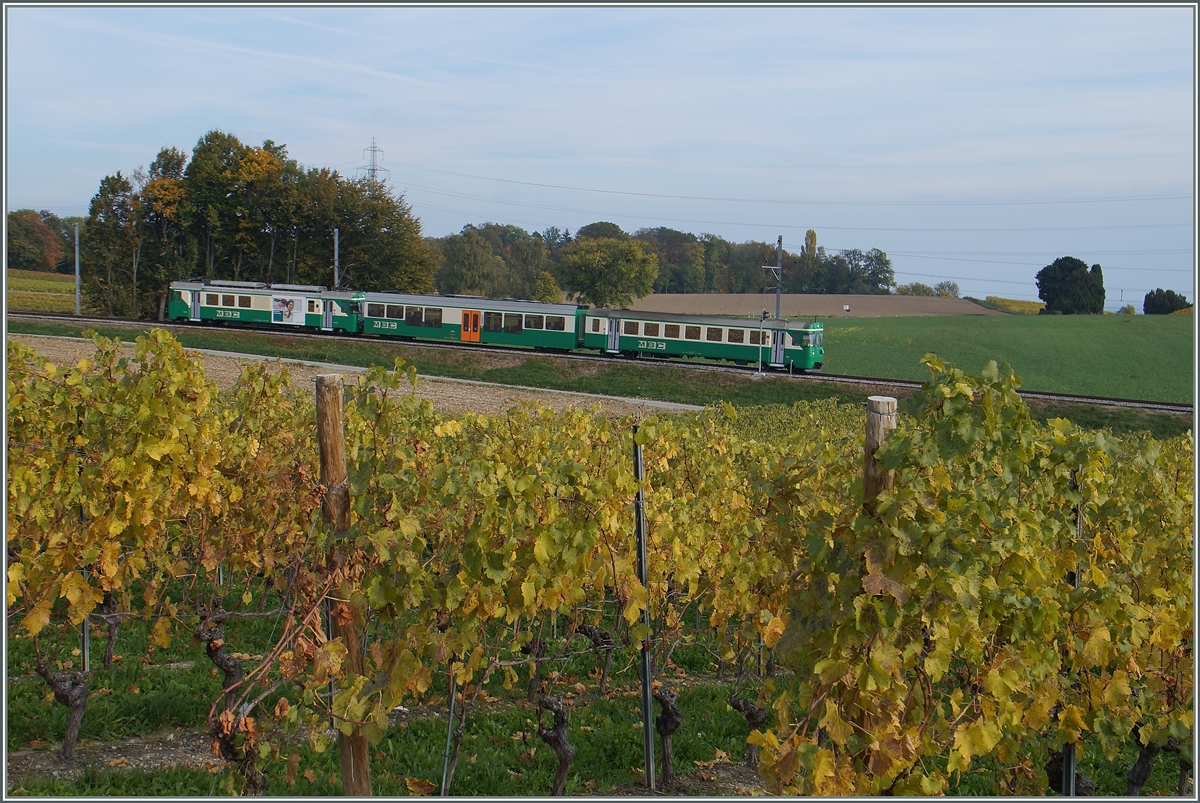 BAM Regionalzug bei Vuffelns le Château.
20. Okt. 2015