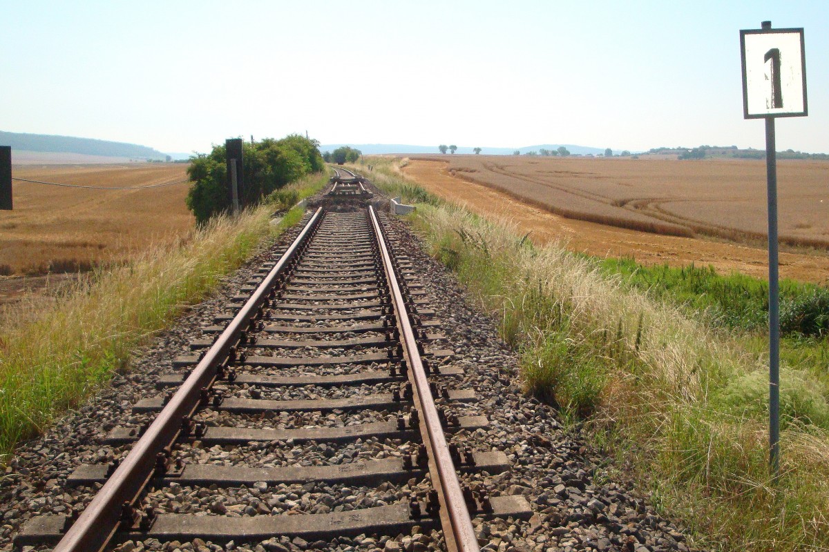 Bauarbeiten an der Eisenbahninfrastruktur am 19.07.2014 zwischen Wangen und Donndorf, um die Befahrbarkeit unserer Unstrutbahn zu erhalten.
Hauptaugenmerk ist gegenwärtig der Gleisrückbau auf einem schadhaften Brückenbauwerk auf der Landesgrenze zwischen Sachsen-Anhalt und Thüringen. Das Brückenbauwerk soll dann abgetragen und der Bahndamm verfüllt werden. Sobald dieser Mangel aufgehoben ist, können unsere Sonderfahren und auch schwere Lokomotiven und Güterzüge wieder den Thüringer Teil der Unstrutbahn passieren. (Foto: Günther Göbel)