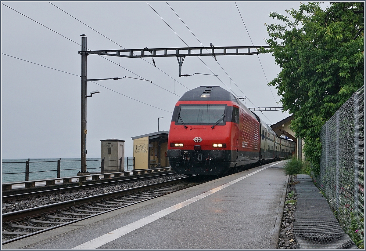 Bei St-Saphorin ist eine SBB Re 460 mit iherem IR nach Brig bei garstigem Wetter unterwegs. 

11. Mai 2020