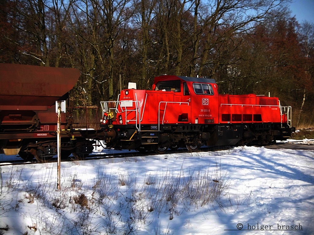 bei strahlenden sonnenschein fuhr 261 055-8 mit einen kurzen gterzug zum bhf glinde,datum 15.03.14