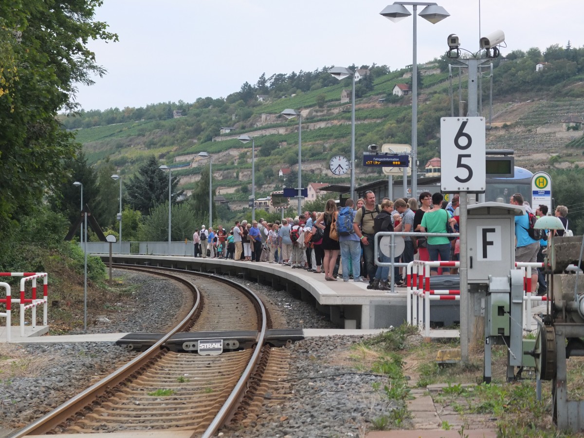 Besucher des 80. Freyburger Winzerfests am 08.09.2013 kurz vor der Heimreise am Hp Freyburg. (Foto: Heiko Kern)