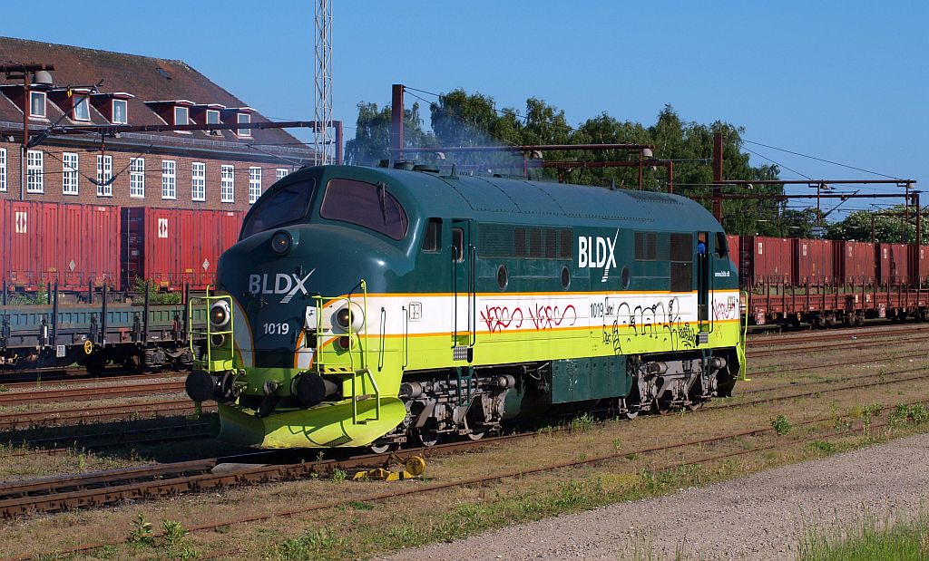 BLDX 1019 dieselt hier durch den Gbf von Padborg. 04.06.2010