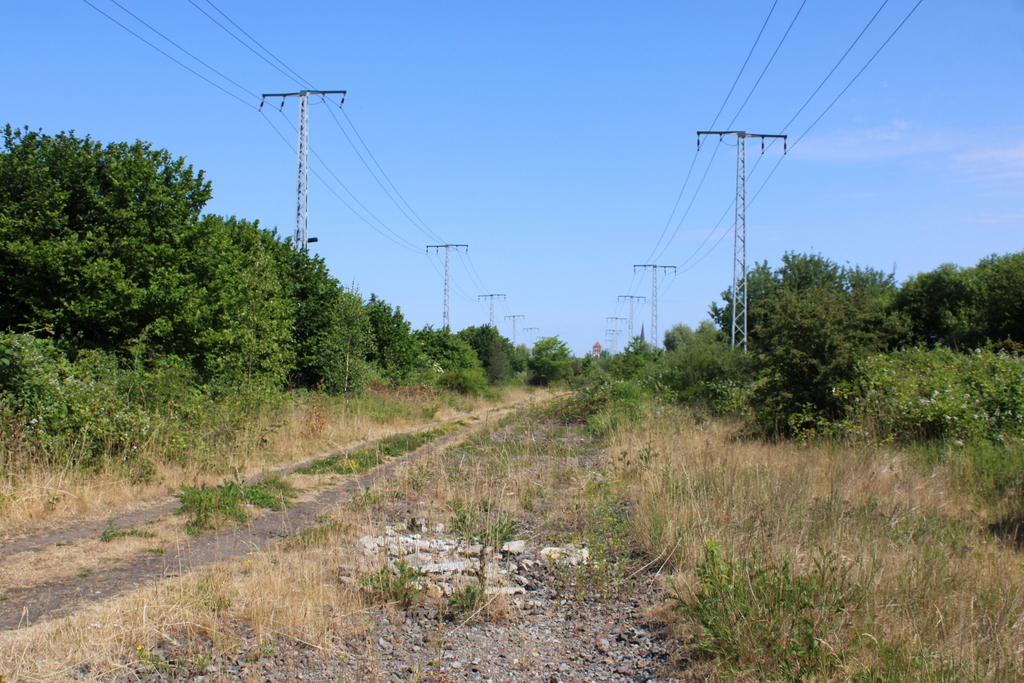 Blick auf die ehemalige Bahnstrecke zum Friedrich-Franz-Bahnhof in der Rostocker Innenstadt. 18.06.2023 von der Güterumgehung aus gesehen.