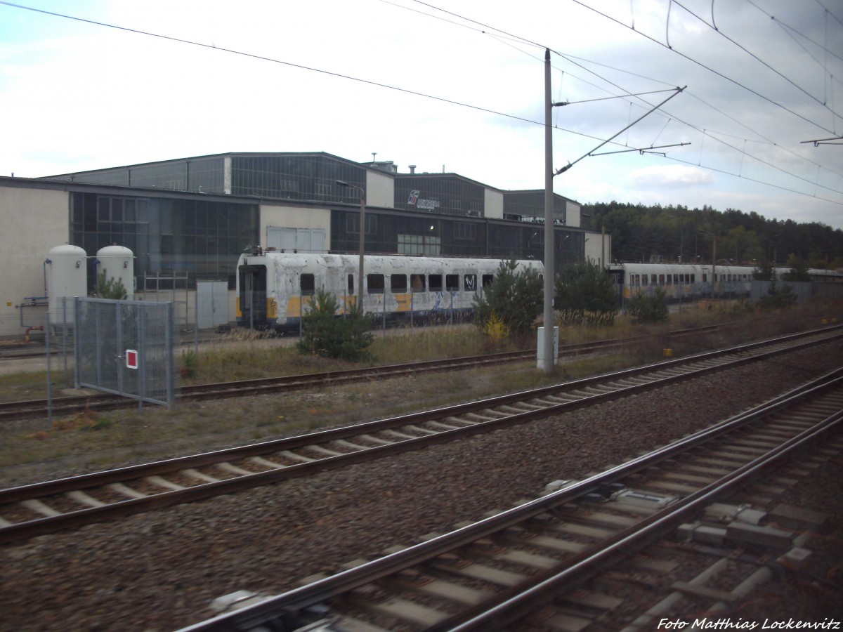 Blick auf die Mittelwagen des ET 403 (Donald Duck Zug) in Neustrelitz am 7.10.13