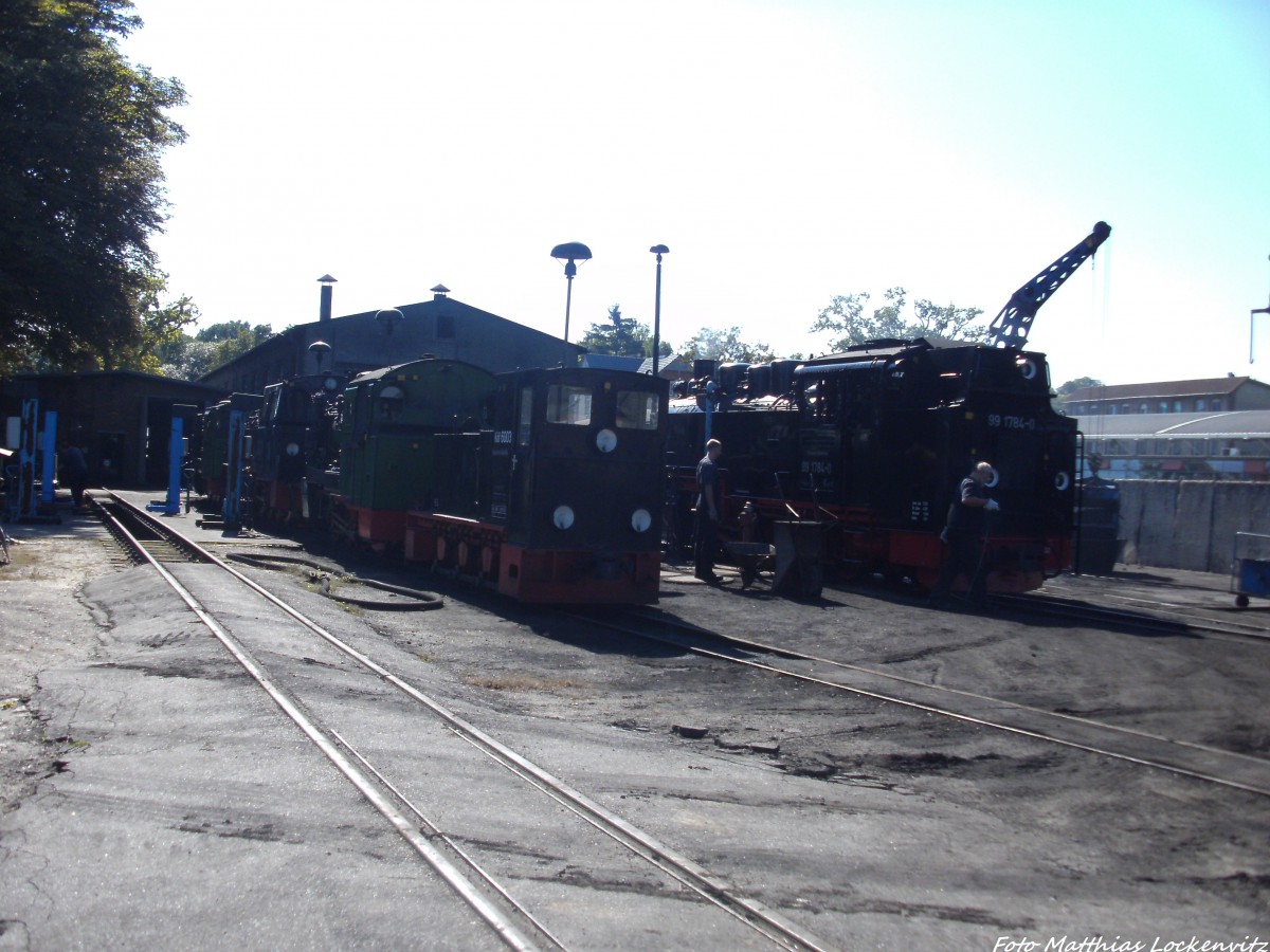 Blick aufs Kleinbahn BW Putbus, wo sich Mh 53 / 99 4802 / Mh 52 / Kf 6003 & 99 1784 Bestens zu diesem Foto sich zusammen stellen am 6.9.13