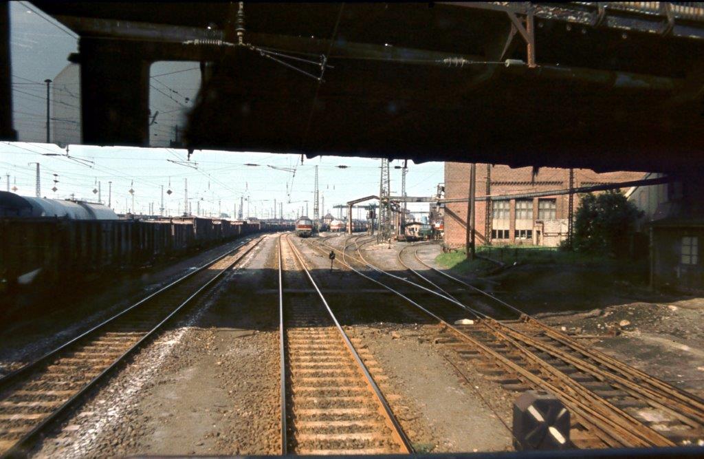 Blick ins Bw Halle G am 08.05.1981. (Foto: Klaus Pollm�cher)