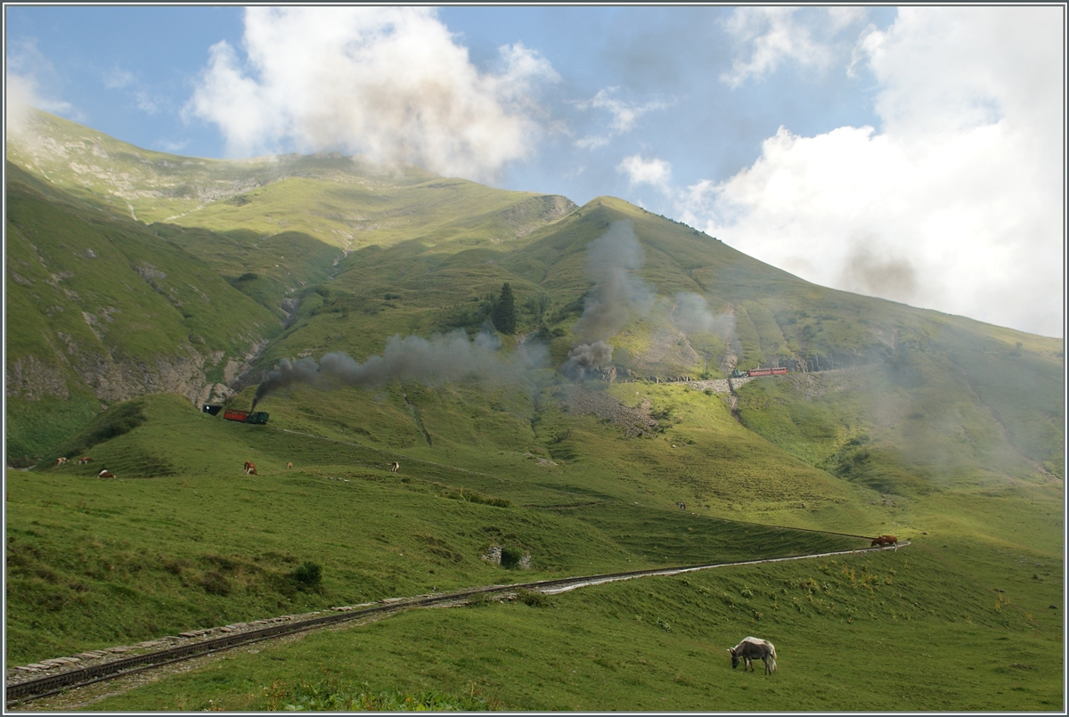 BRB Dampzüge (Kohlgefeuert) am Brienzer Rothorn.
30. Aug. 2013