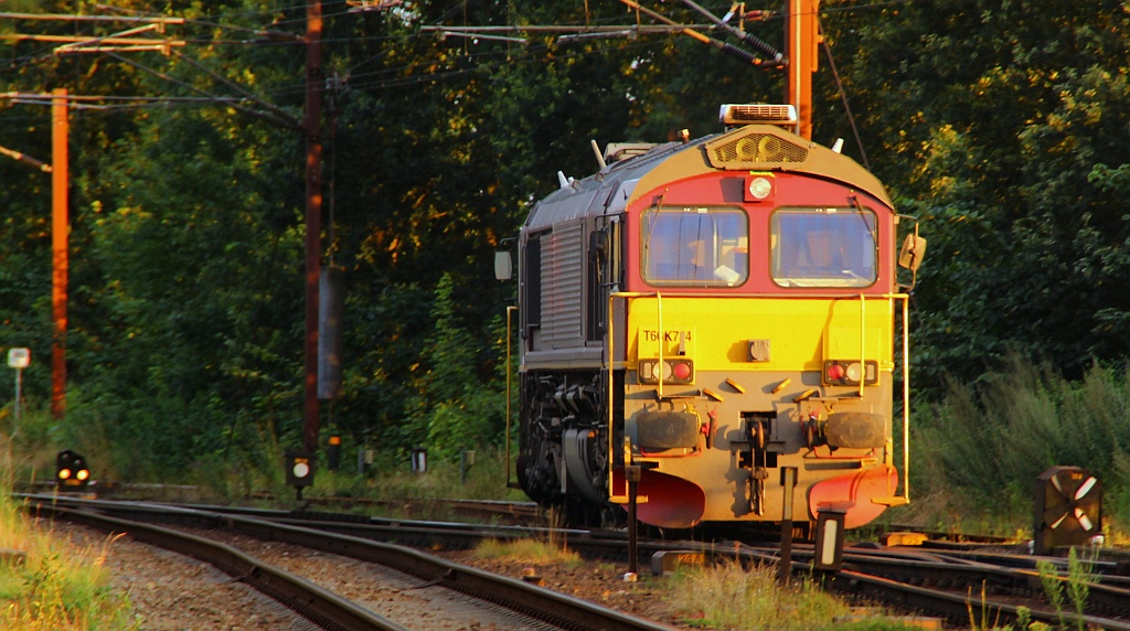 BRLL/CFL Cargo T66K714/266 714-7 brachte einen Gz nach Padborg Gbf und wird nun in den Abstellbereich rangiert. 02.08.2012