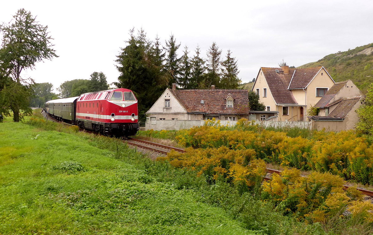 CLR 229 181-3 mit dem DLr 24886 von Laucha zur Abstellung nach Naumburg Hbf, am 09.09.2017 in Balgst�dt.